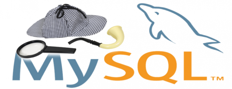 save all mysql queries